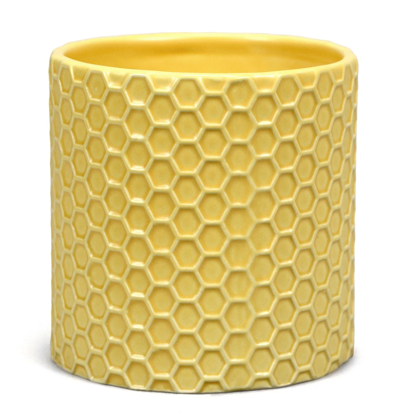 Winnie the Pooh Honey Comb Design Plant / Pen Pot (Back) | Happy Piranha