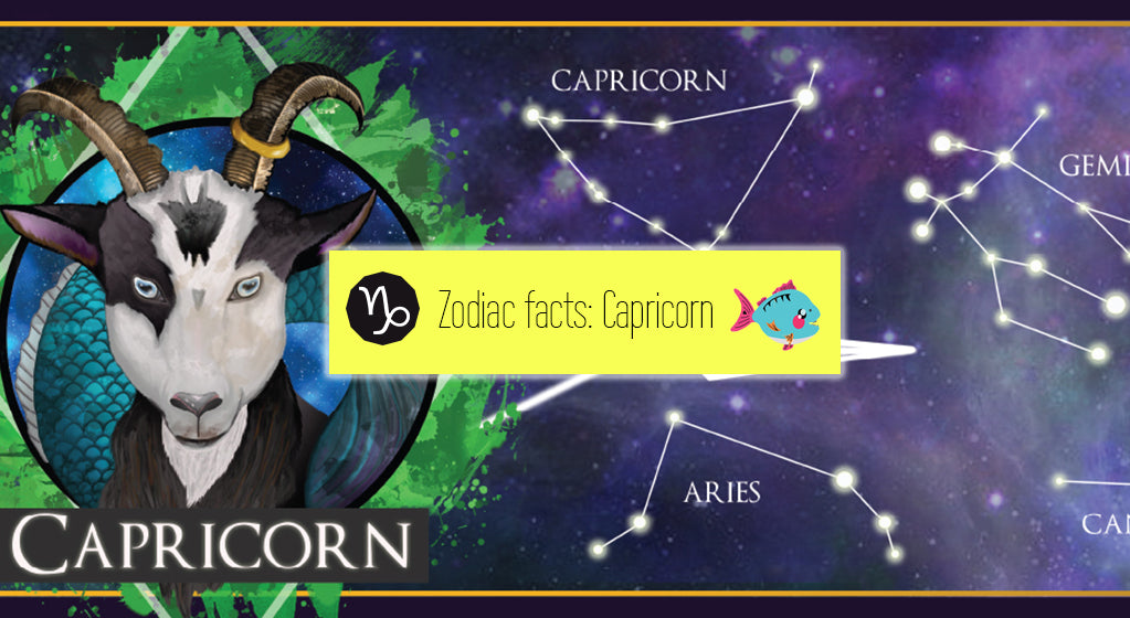 Capricorn [22 December – 19 January] | star sign, horoscope, astrology and zodiac facts