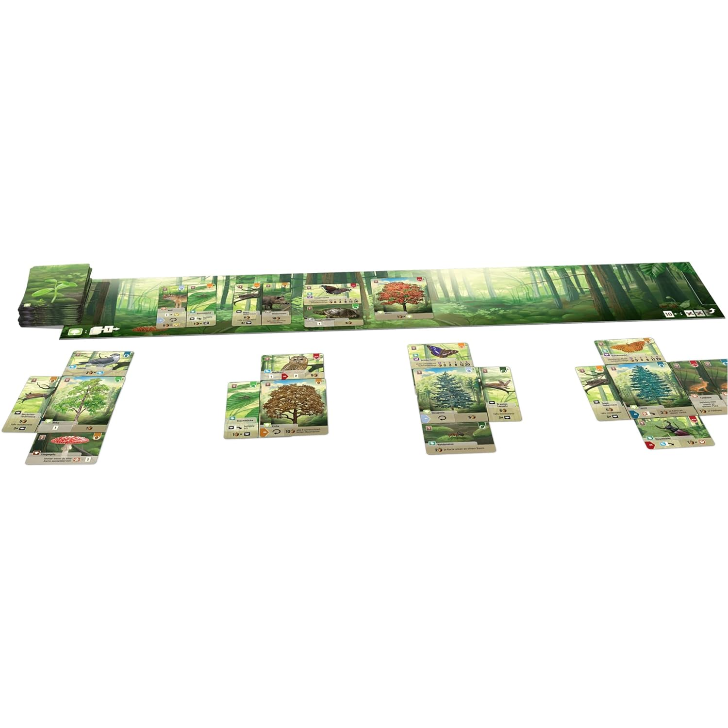 Forest Shuffle Card Game (Laid Out Ready to Play) on a White Background | Happy Piranha