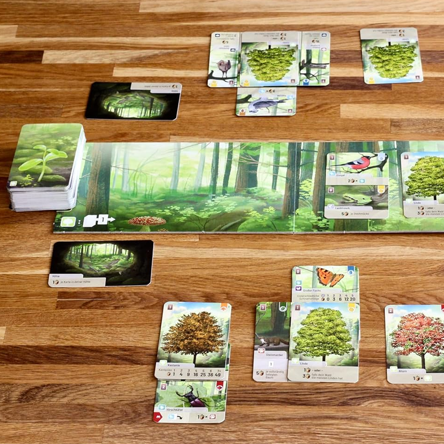 Forest Shuffle Card Game (Being Played) on a Wooden Table | Happy Piranha