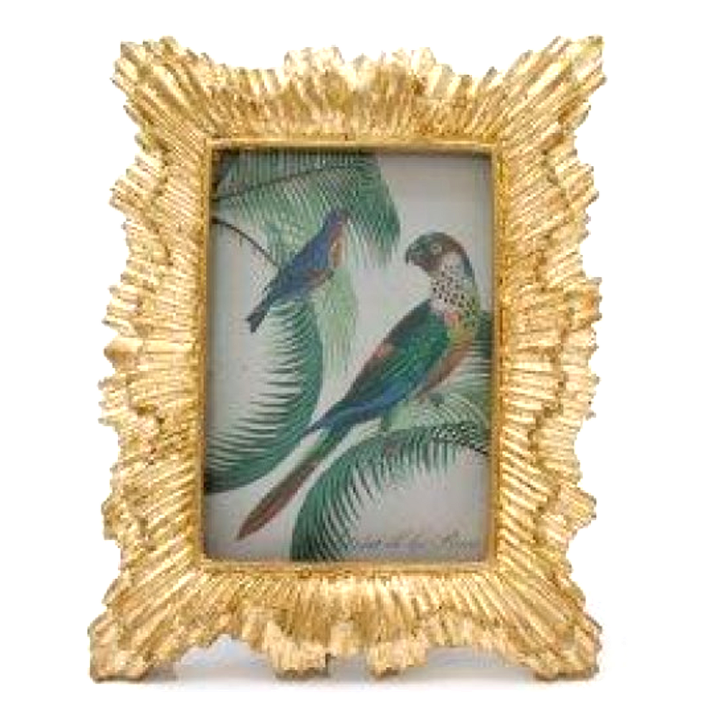 Mini Gold Baroque Style Photo Frames (Sunburst) | Happy Piranha