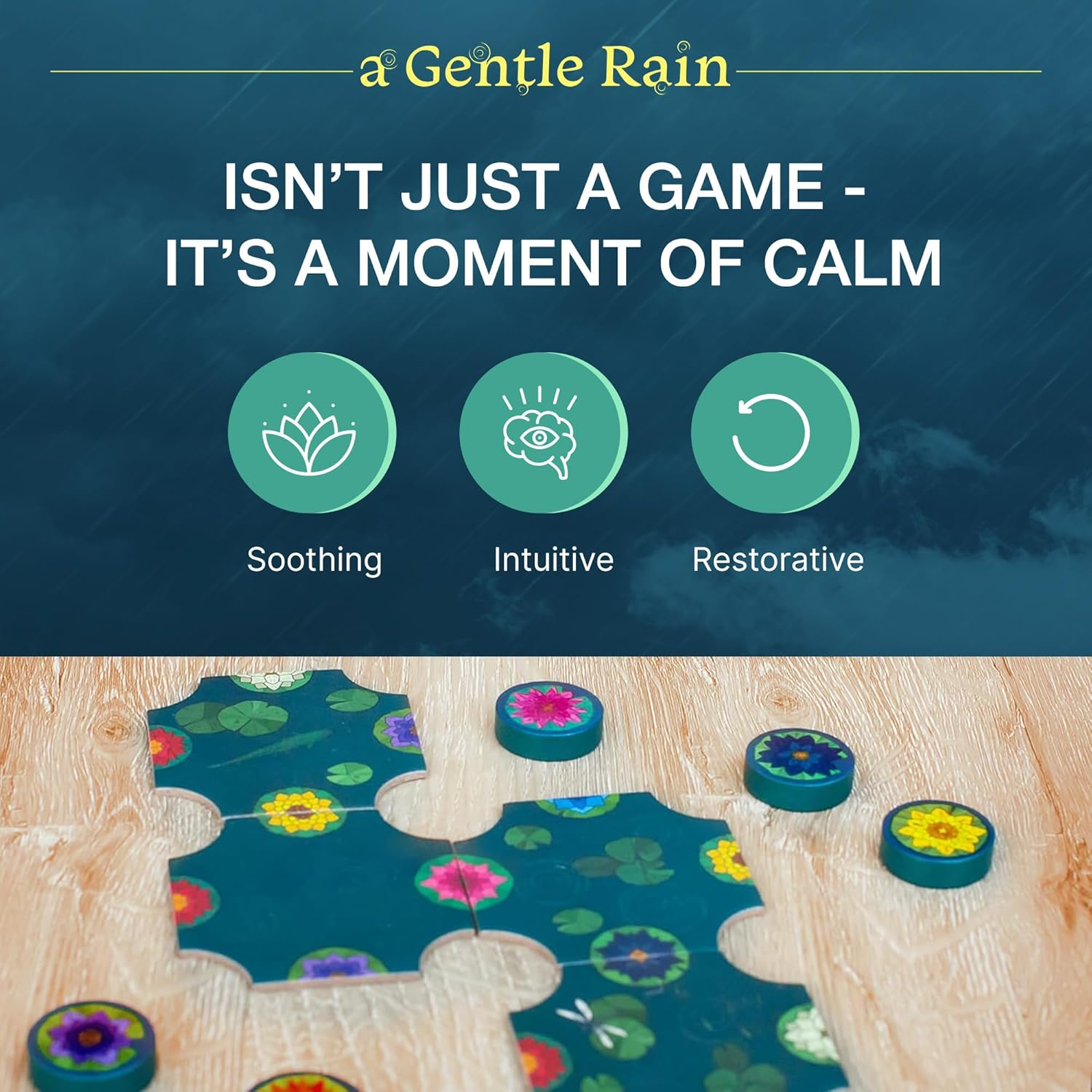 A Gentle Rain Board Game Box Infographic | Happy Piranha