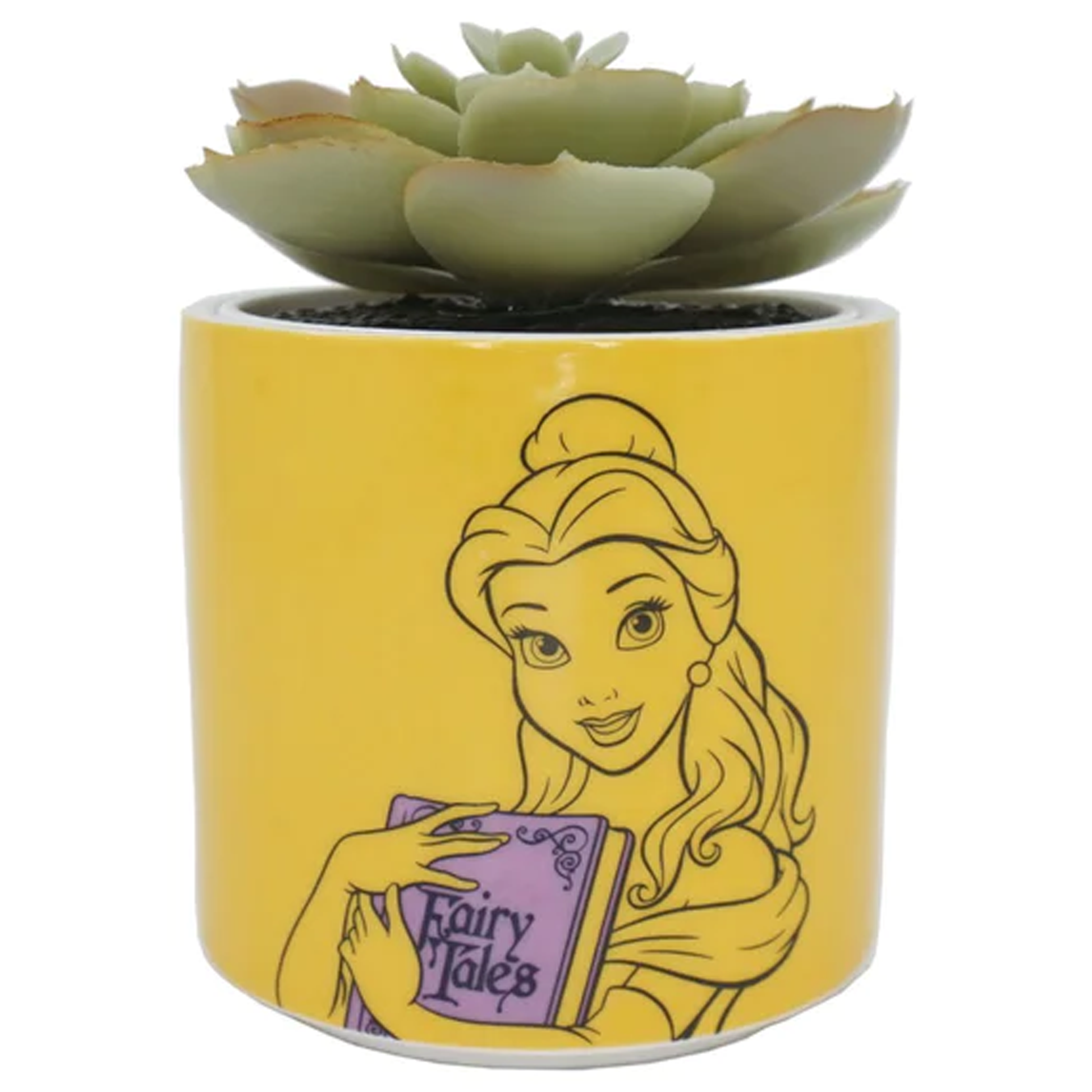 disney potted plants Belle - Disney Beauty & the Beast Plant Pot & Plant