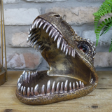 T-Rex (Tyrannosaurus Rex) Dinosaur Head Dish (Front) | Happy Piranha