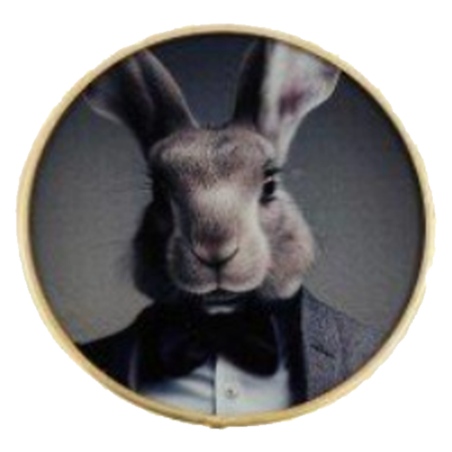 Forest Friends: Posh Animal Design Glass Coaster (Rabbit Design) | Happy Piranha