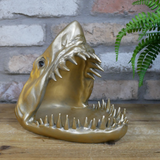Golden Great White Shark Head Dish (Front) | Happy Piranha