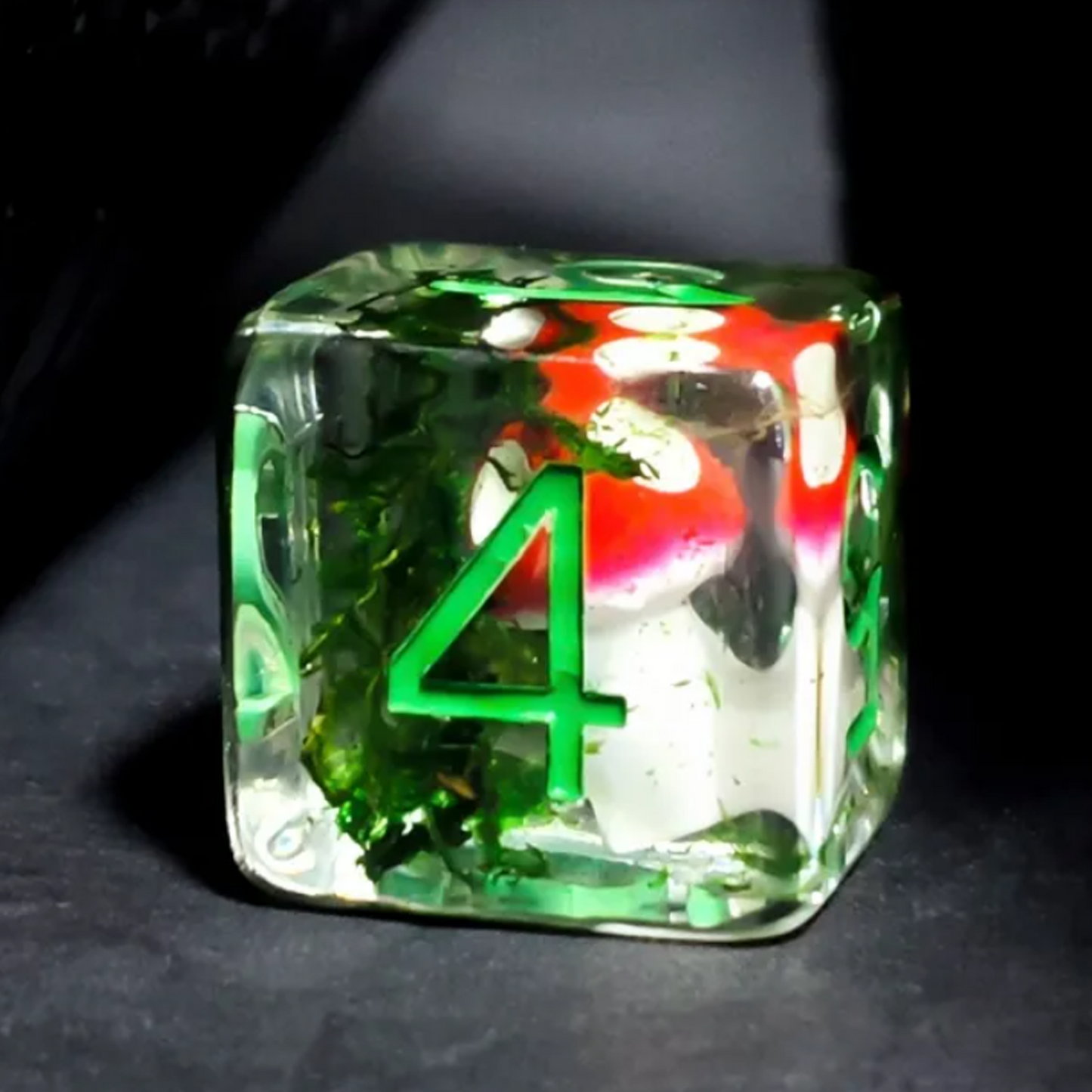 Red Toadstool Dice - Mini Mushroom Filled Polyhedral D6 Close up on a Black Background | Happy Piranha