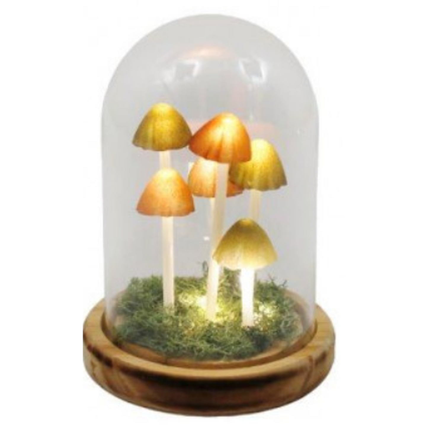 Mushroom in Dome Design LED Table Lamp