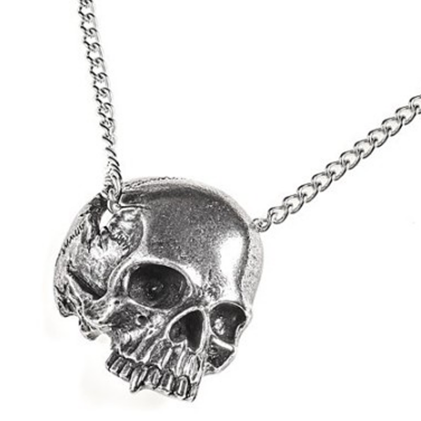 Remains - Gothic Skull Design Pewter Pendant Necklace Close Up with its Chain on a White Background | Happy Piranha