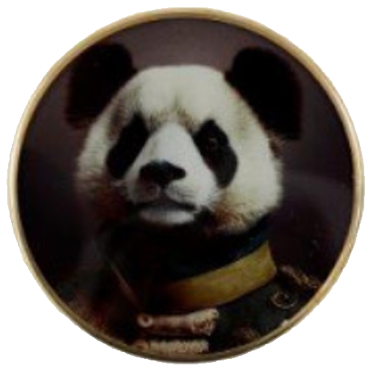 Teatime Safari: Posh Animal Design Glass Coasters