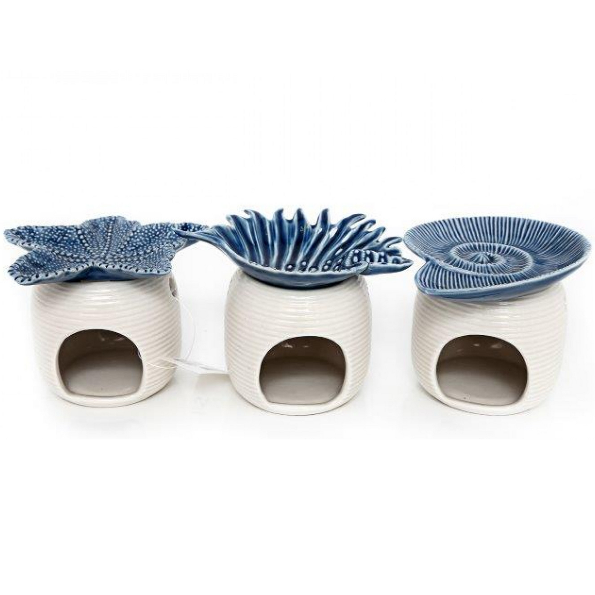 Blue & White Sea Shells Oil Burner and Wax Melt Warmer | Happy Piranha