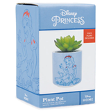 Snow White - 6.5cm Disney Plant Pot & Plant (Boxed) | Happy Piranha