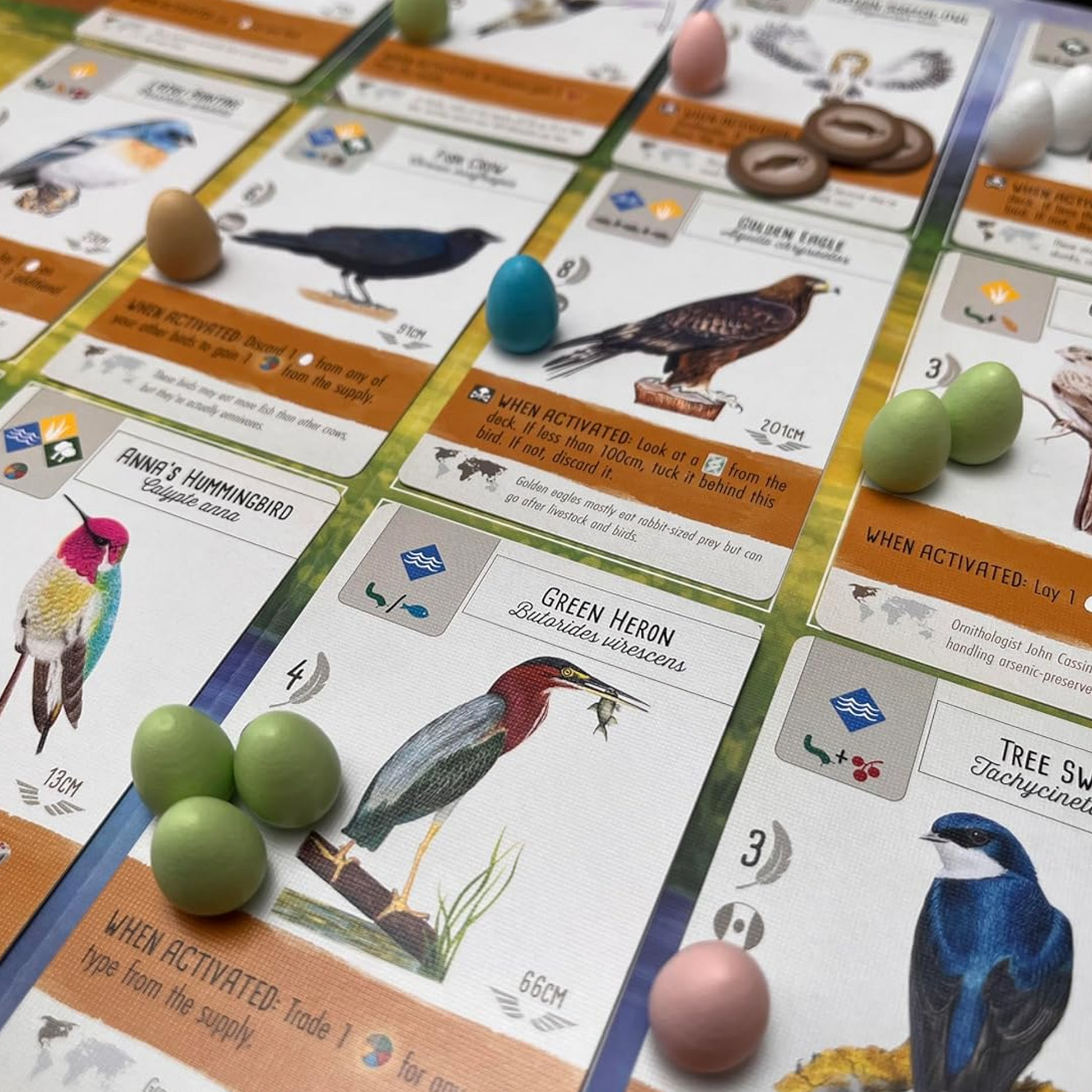 Wingspan Board Game Cards Close Up with Egg Components on Them | Happy Piranha
