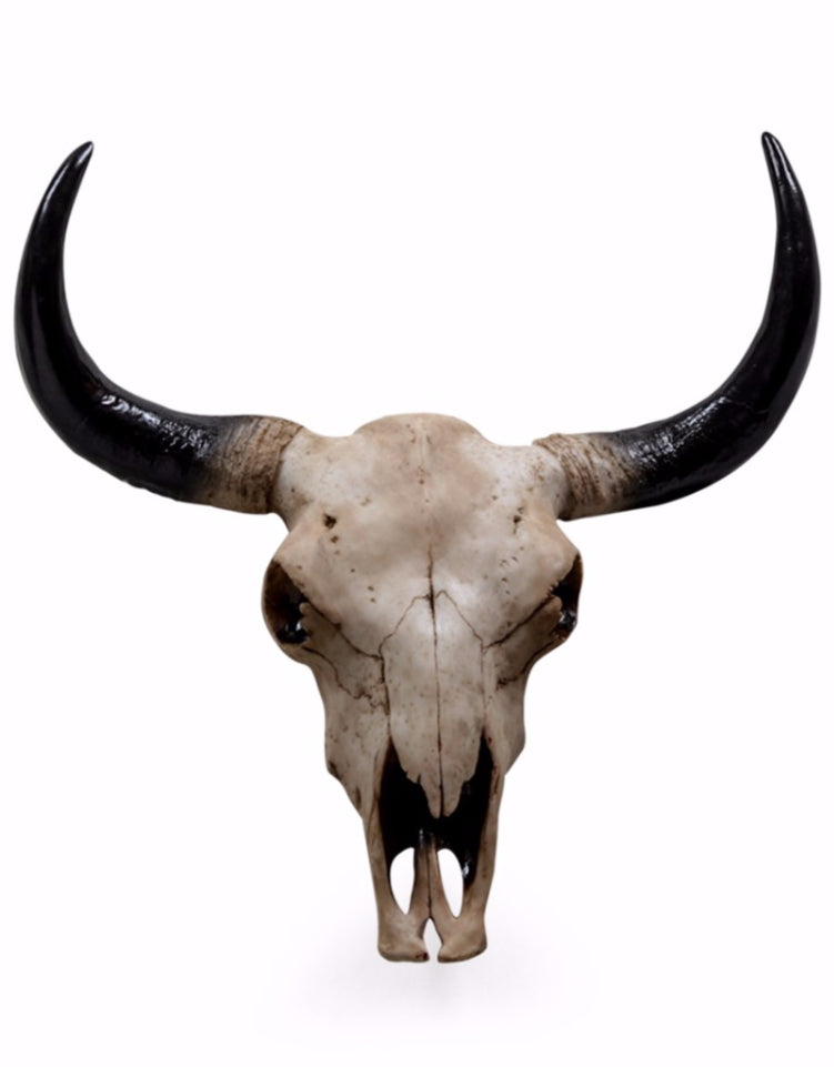 Bison Skull Wild West Wall Art front view | Happy Piranha