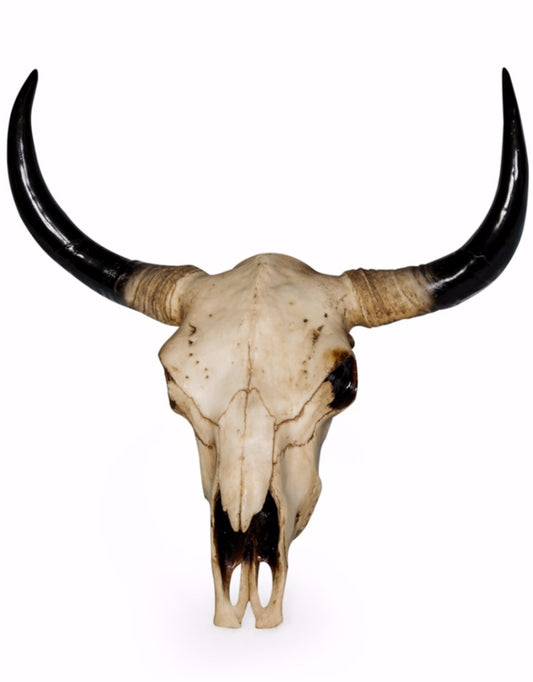 Bison Skull Wild West Wall Art | Happy Piranha