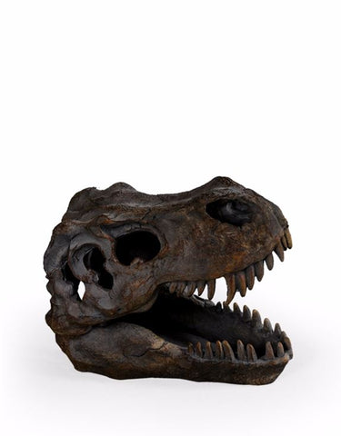 T-Rex (Tyrannosaurus Rex) Replica Dinosaur Skull Ornament | Happy Piranha