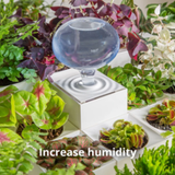 LeGrow TG-07 Modular Smart Garden Plant Humidifier in a LeGrow Garden| Happy Piranha