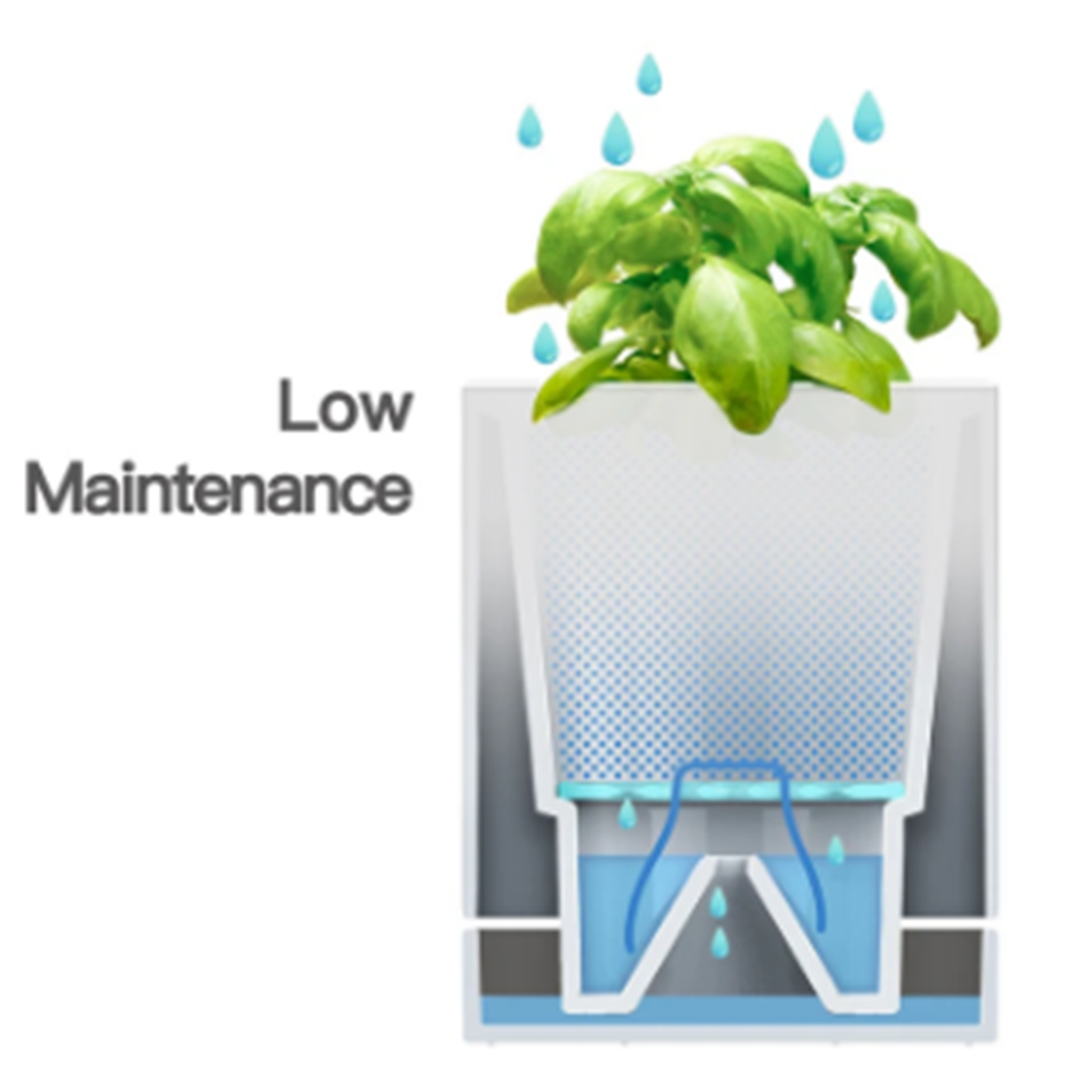 LeGrow TG-G ''Simple Clean'' Modular Indoor Smart Garden Pot Water Reservoir Graphic | Happy Piranha