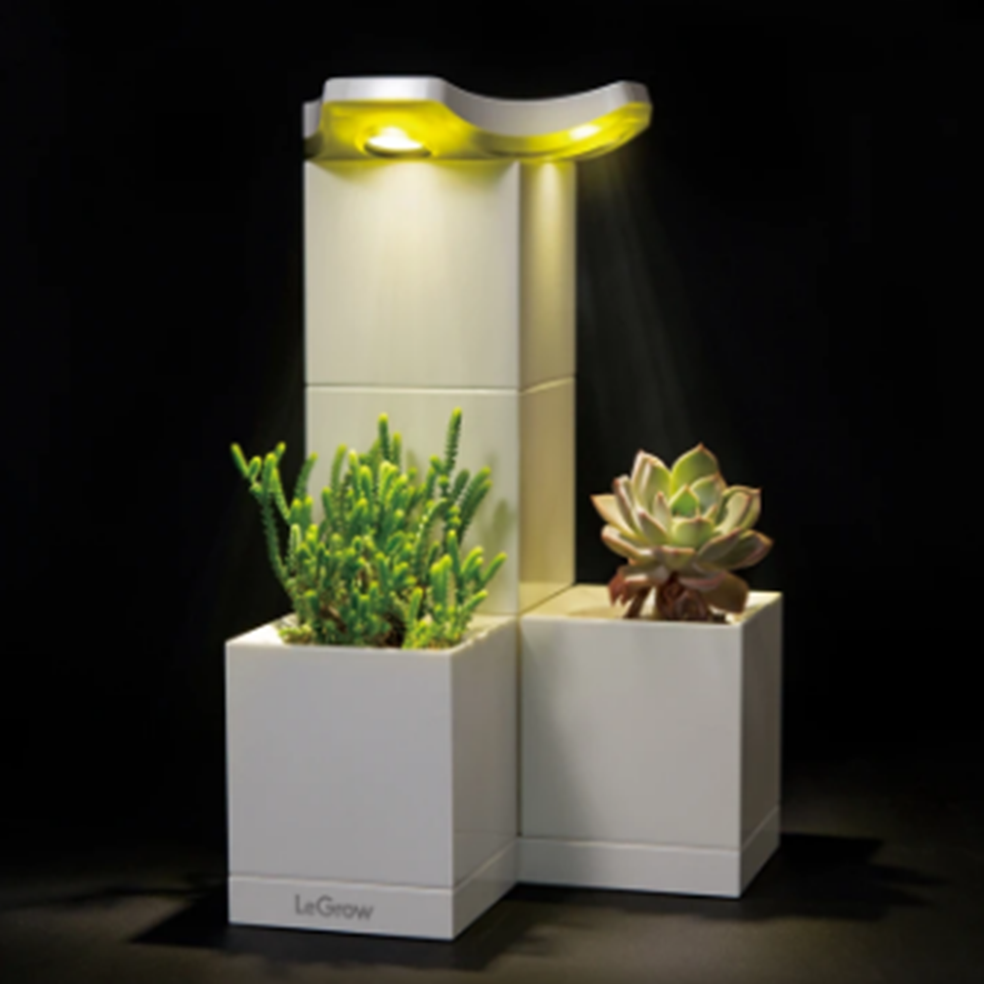 LeGrow TG-L Modular Indoor Smart Garden With Light Planted with the Light on | Happy Piranha