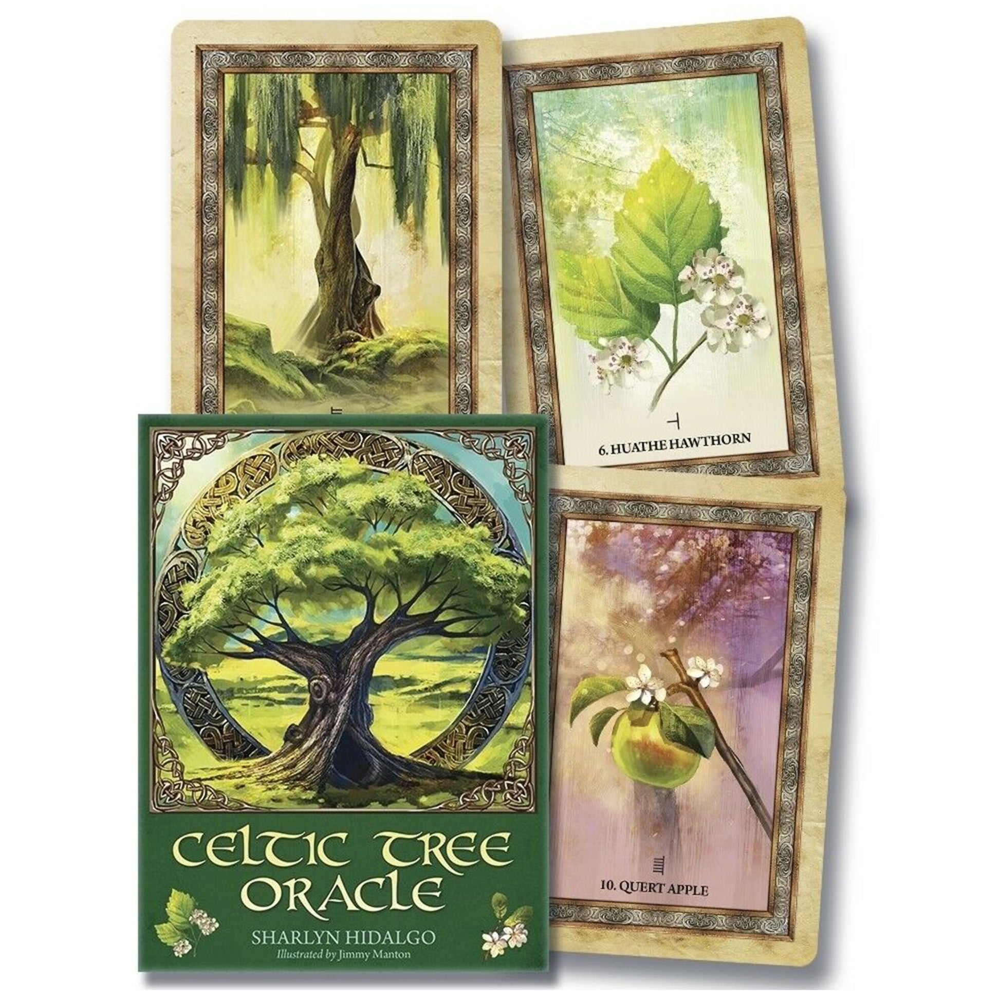 Celtic Tree Oracle Card Set Box and Three Card Examples | Happy Piranha