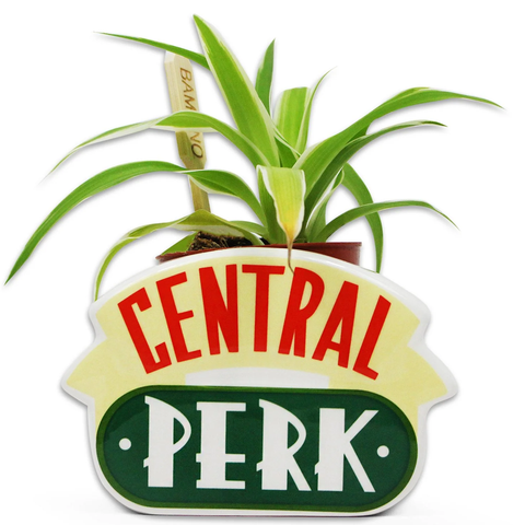 Friends Central Perk Plant Pot | Happy Piranha