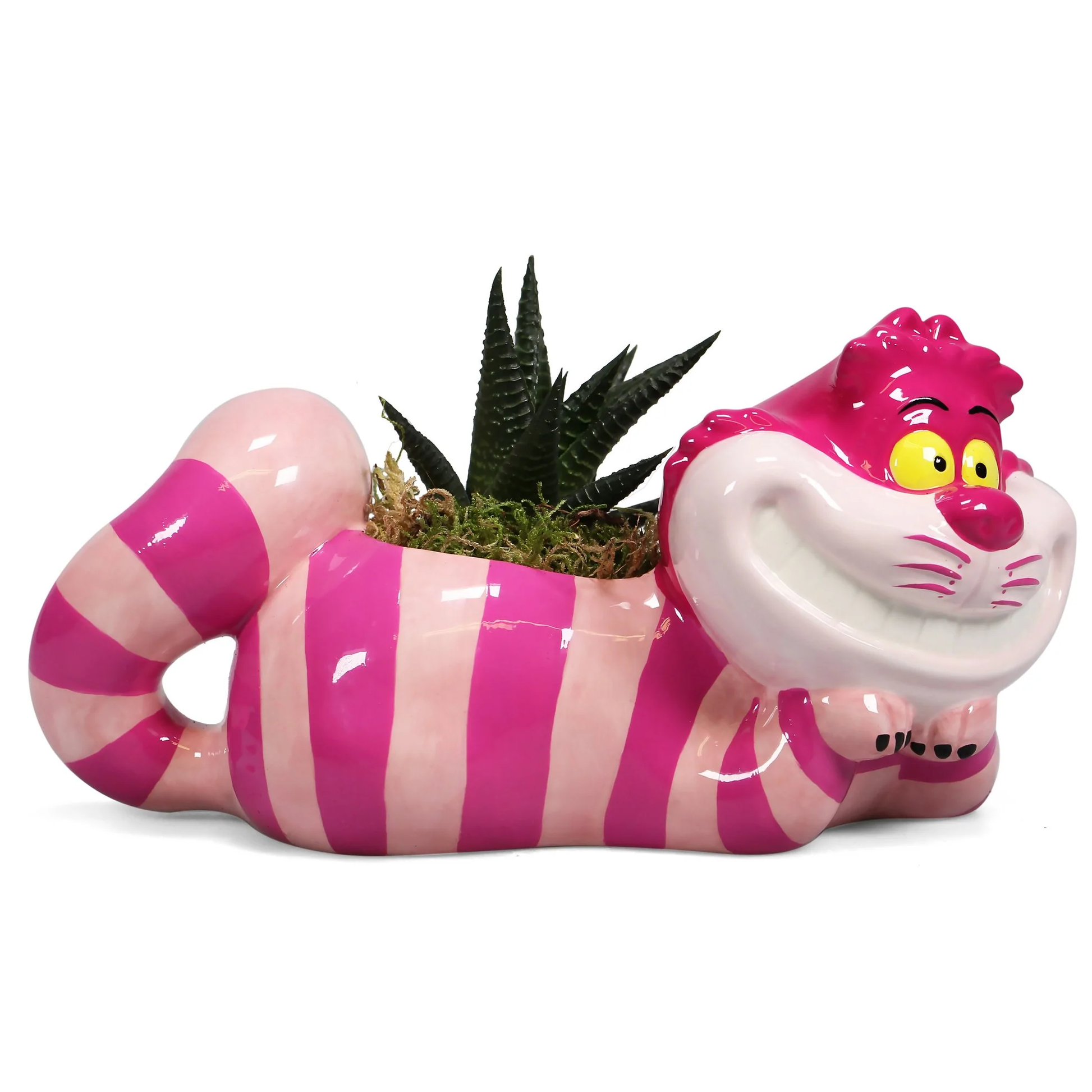 Alice in Wonderland Cheshire Cat Ceramic Planter / Storage Pot With a Plant Inside | Happy Piranha