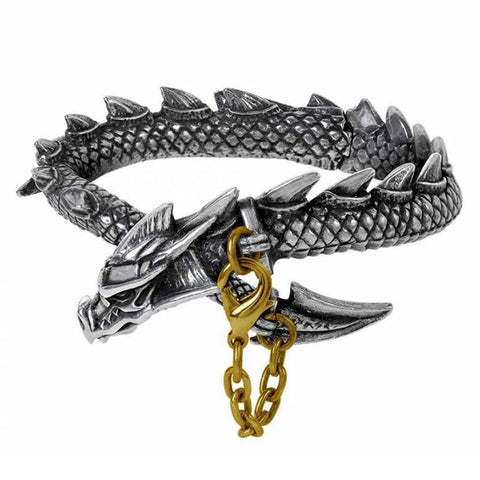 Dragon's Lure: Pewter and Brass Bangle | Happy Piranha