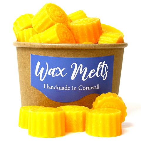Happy Piranha's Orange Wax Melts