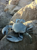 Large Colin The Crab Metal Ornament at the beach  | Happy Piranha