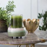 Matcha Latte: 2-in-1 Electric Wax Melt and Candle Warmer with a Candle in it | Happy Piranha