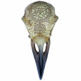 Omega Runic Raven Skull Ornament Top View | Happy Piranha
