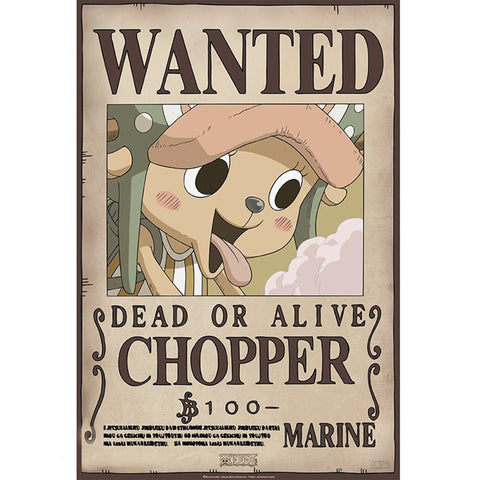 One Piece Chopper and Brook Art Poster 2 Set