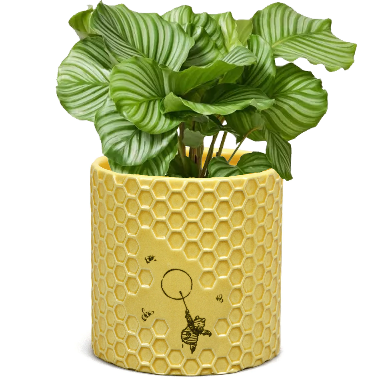 Winnie the Pooh Honey Comb Design Plant / Pen Pot  With a Plant in | Happy Piranha