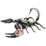 Scorpion Anatomy - 3D Anatomical Model Side View | Happy Piranha