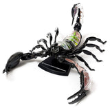 Scorpion Anatomy - 3D Anatomical Model | Happy Piranha